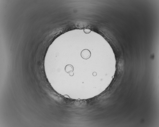 X0000116120865201001040948