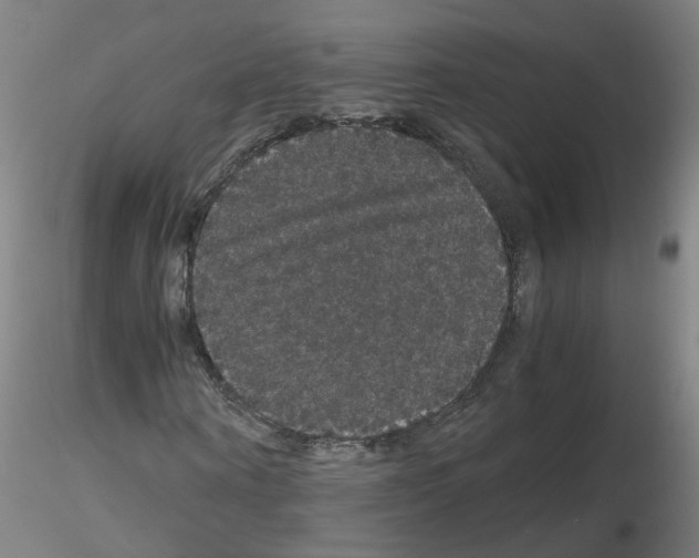X0000116120866201001040948