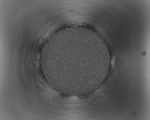 X0000116120867201001040948