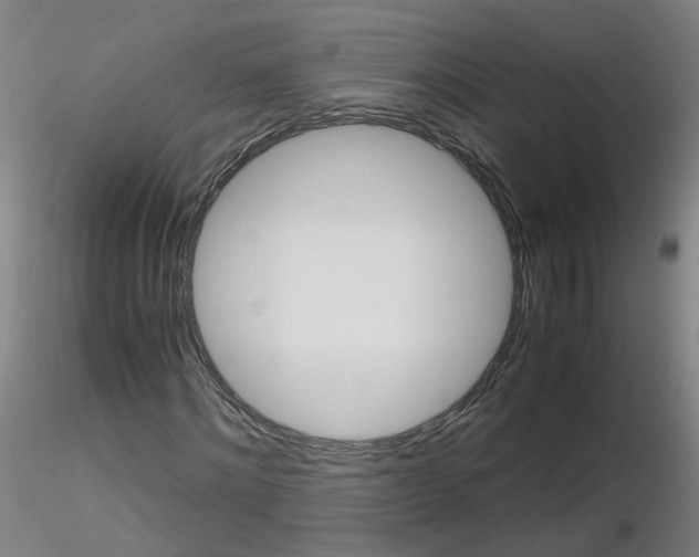 X0000116120868201001040948