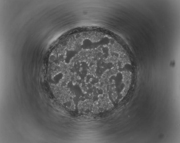 X0000116120871201001040948