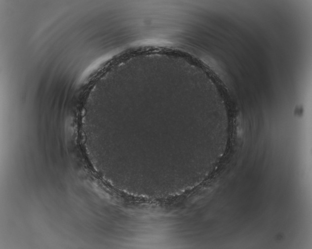 X0000116120872201001040948