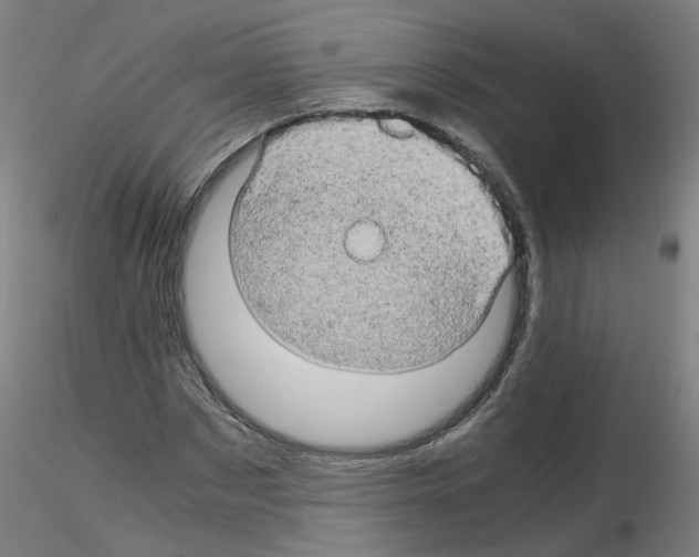 X0000116120873201001040948
