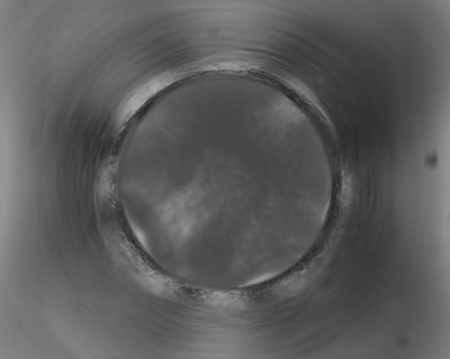 X0000116120874201001040948