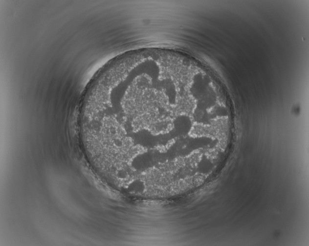 X0000116120875201001040948