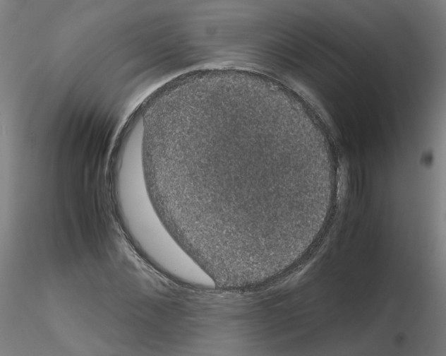 X0000116120876201001040948