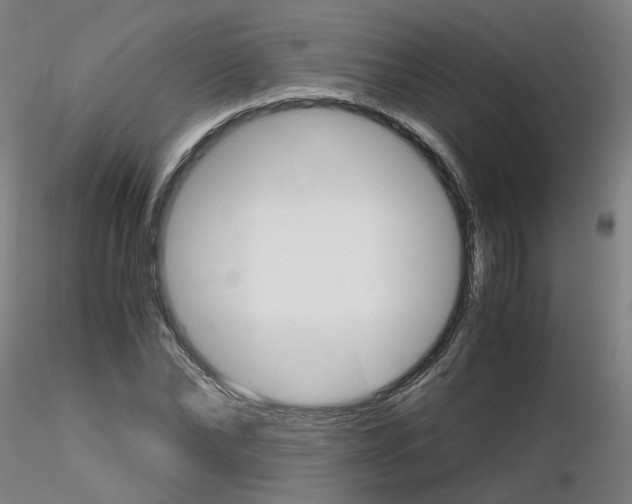X0000116120878201001040948