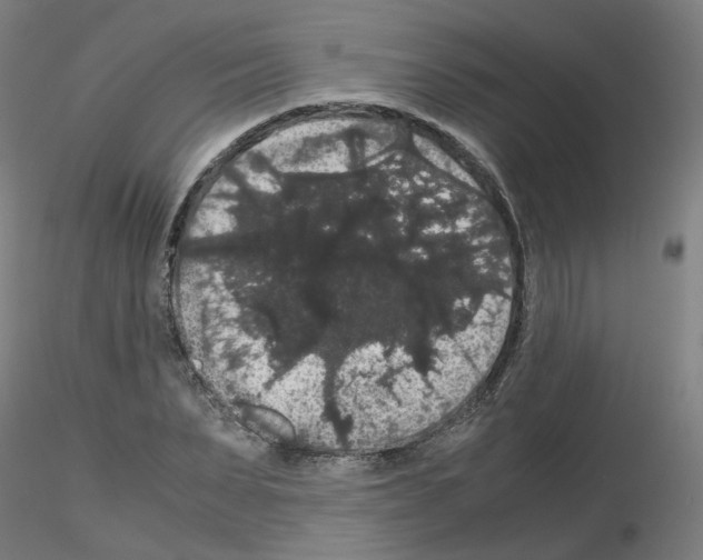 X0000116120879201001040948