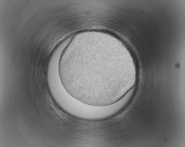 X0000116120881201001040948