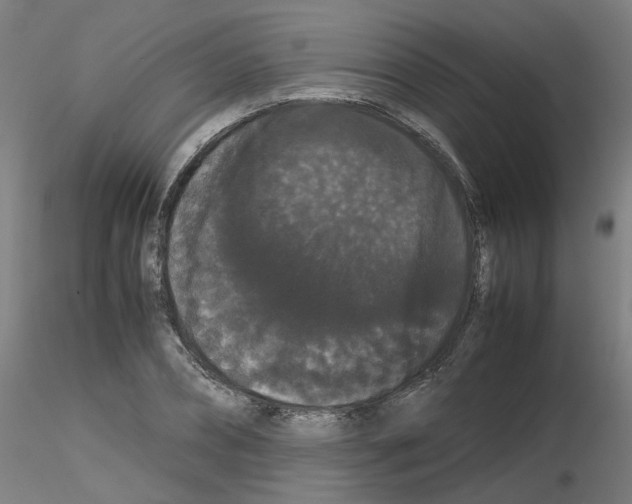 X0000116120882201001040948