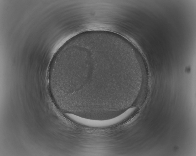 X0000116120885201001040948