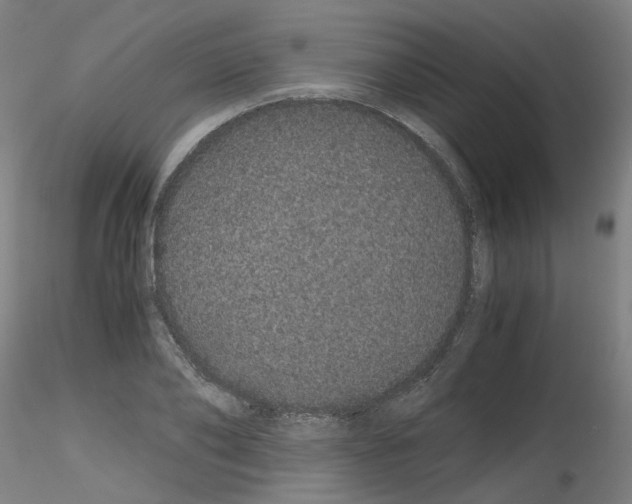 X0000116120886201001040948
