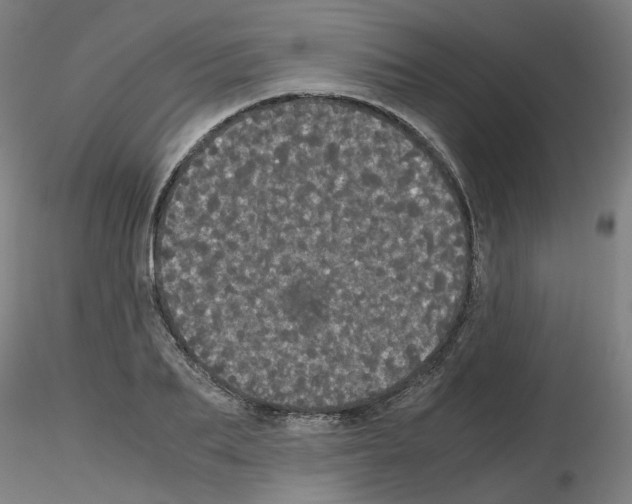 X0000116120887201001040948