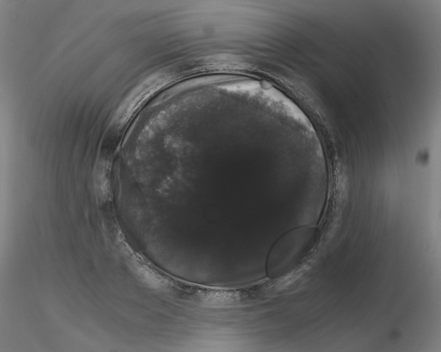 X0000116120889201001040948