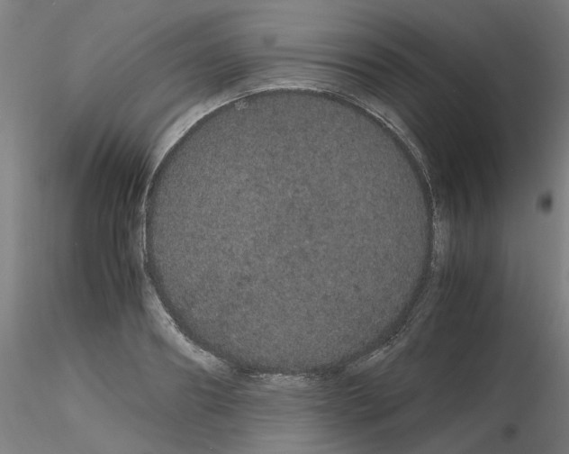 X0000116120890201001040948