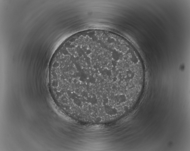 X0000116120891201001040948