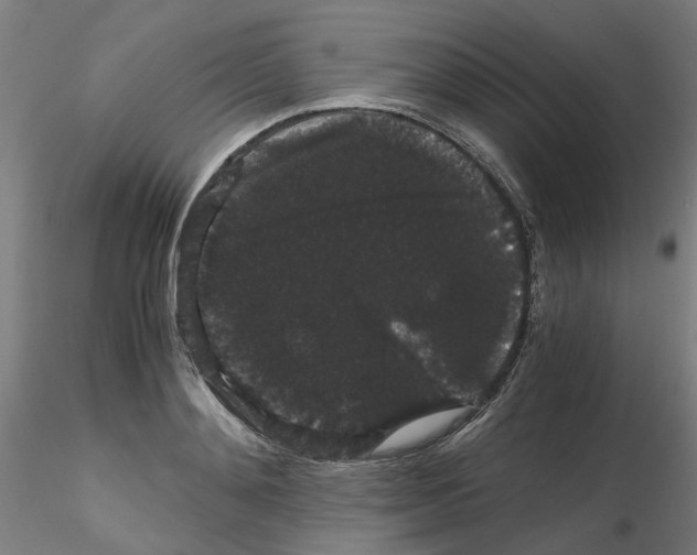 X0000116120892201001040948