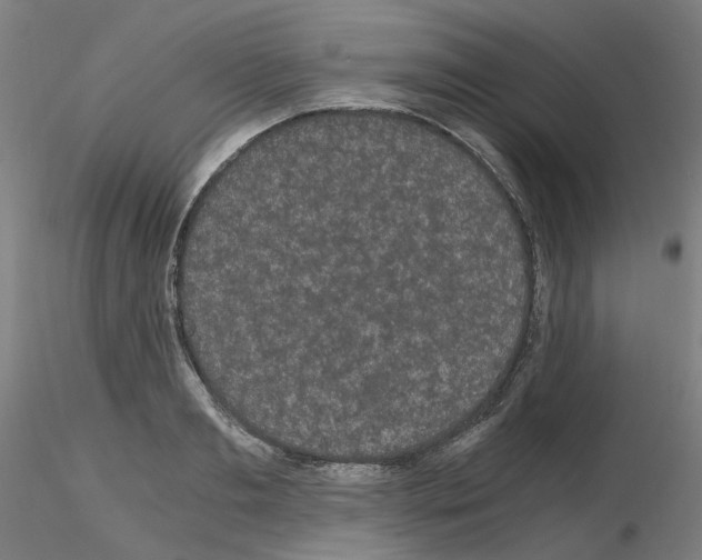 X0000116120893201001040948