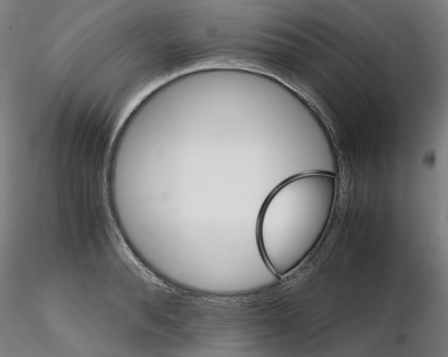 X0000116120896201001040948