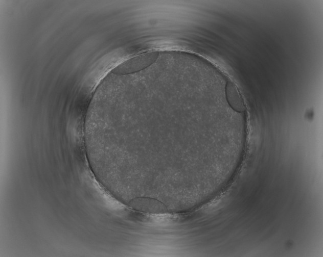 X0000116120897201001040948