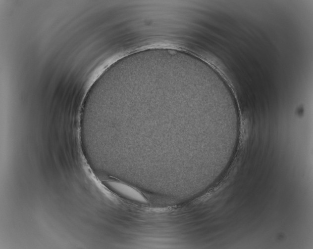 X0000116120898201001040948