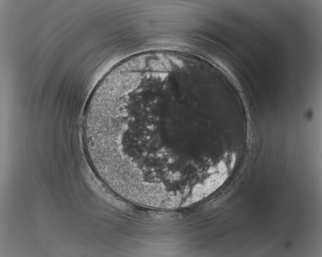 X0000116120899201001040948