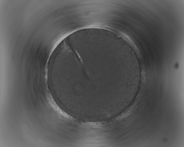 X0000116120900201001040948