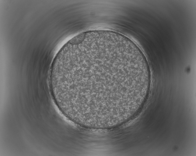 X0000116120901201001040948