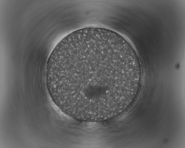 X0000116120903201001040948