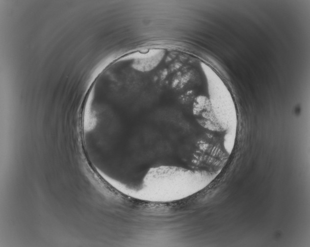 X0000116120907201001040948