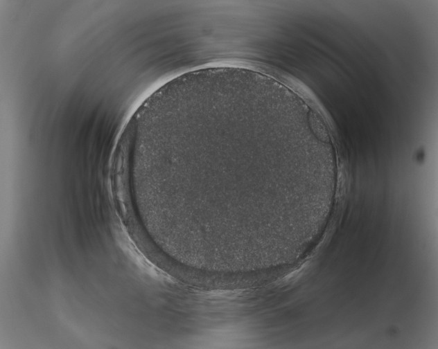 X0000116120908201001040948