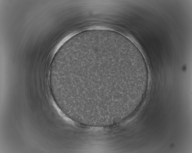 X0000116120909201001040948