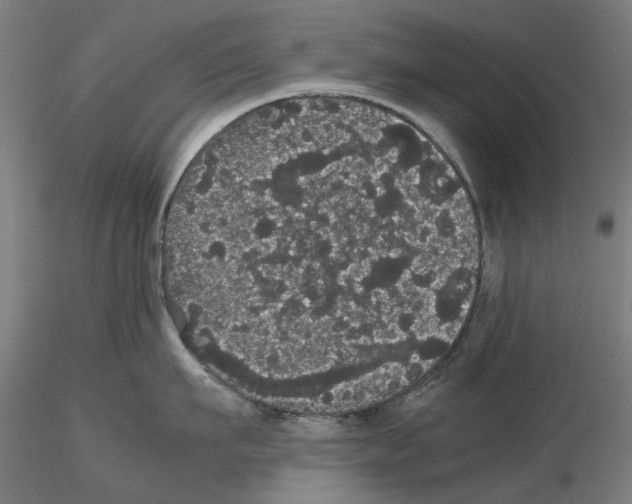 X0000116120911201001040948