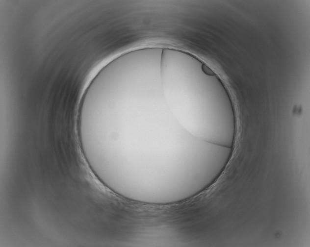 X0000116120912201001040948