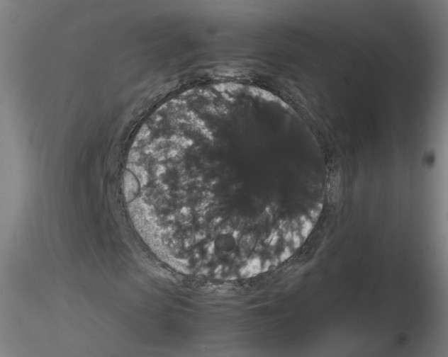 X0000116120913201001040947