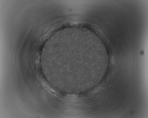 X0000116120914201001040947