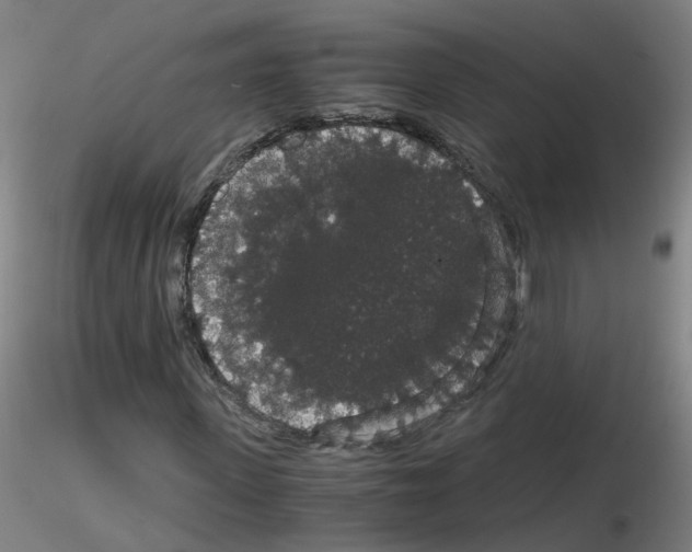 X0000116120915201001040947