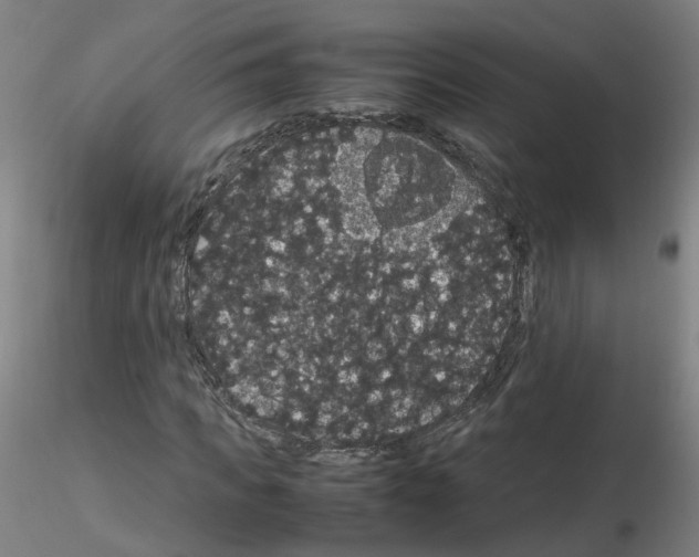 X0000116120917201001040947