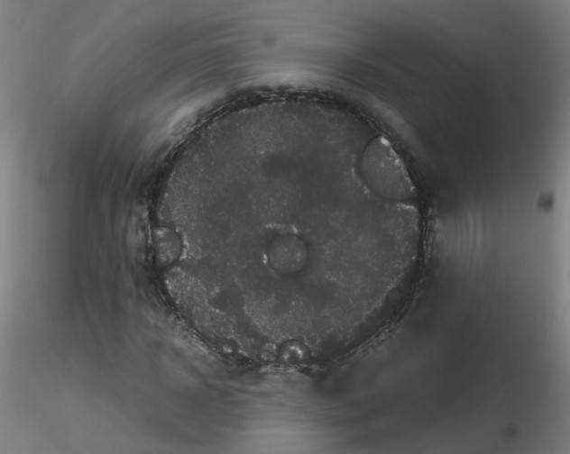 X0000116120918201001040947