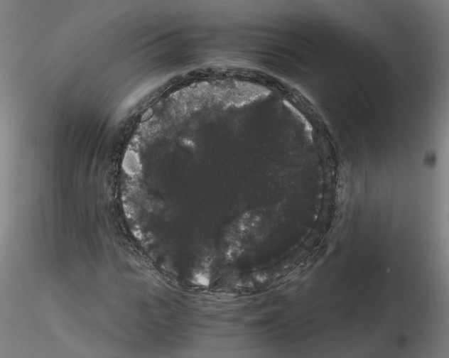 X0000116120919201001040947