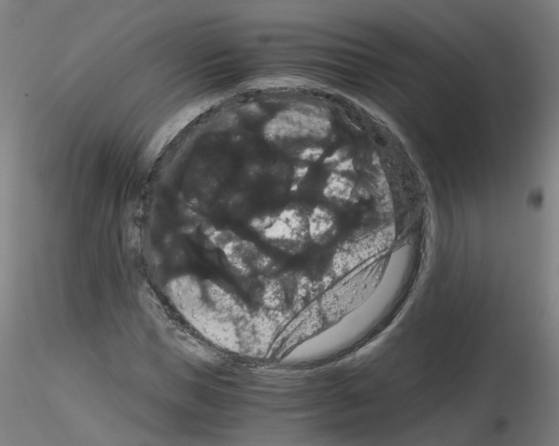X0000116120921201001040947