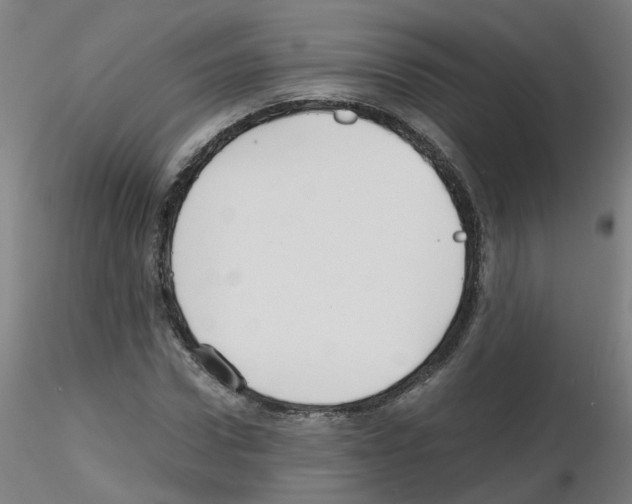 X0000116120922201001040947