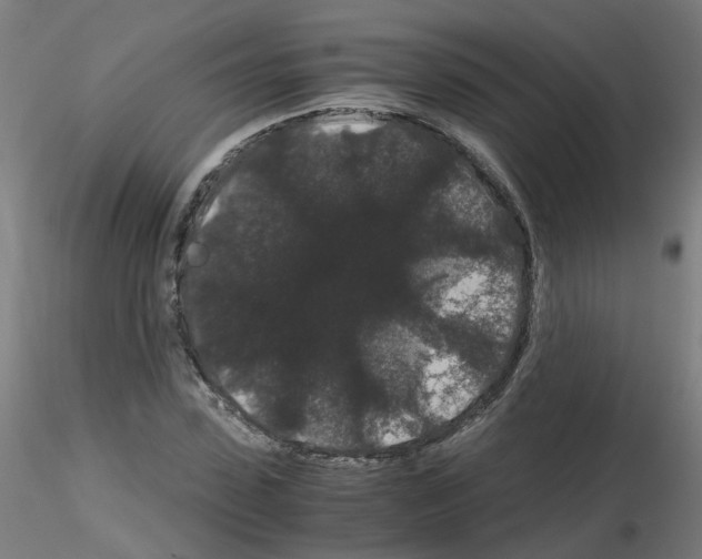 X0000116120923201001040947