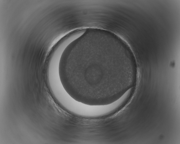 X0000116120925201001040947
