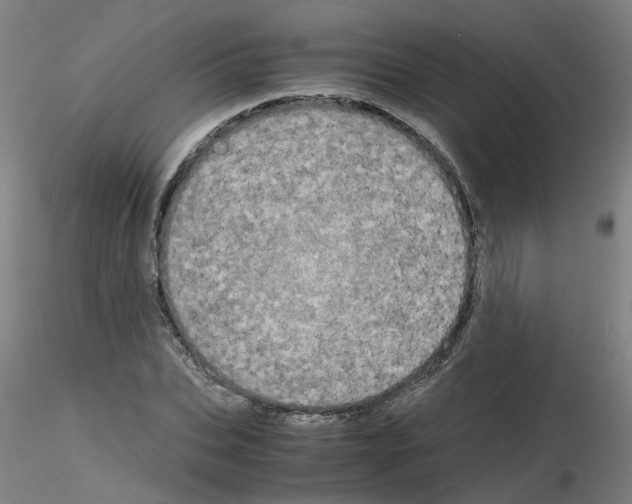 X0000116120927201001040947