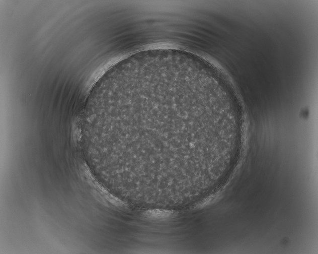 X0000116120929201001040947