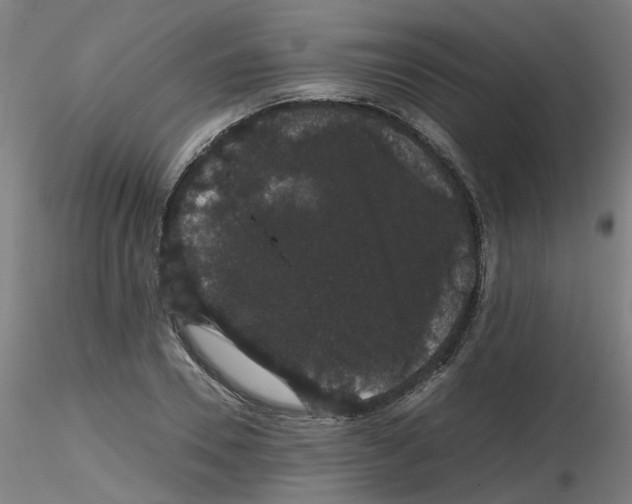 X0000116120930201001040947