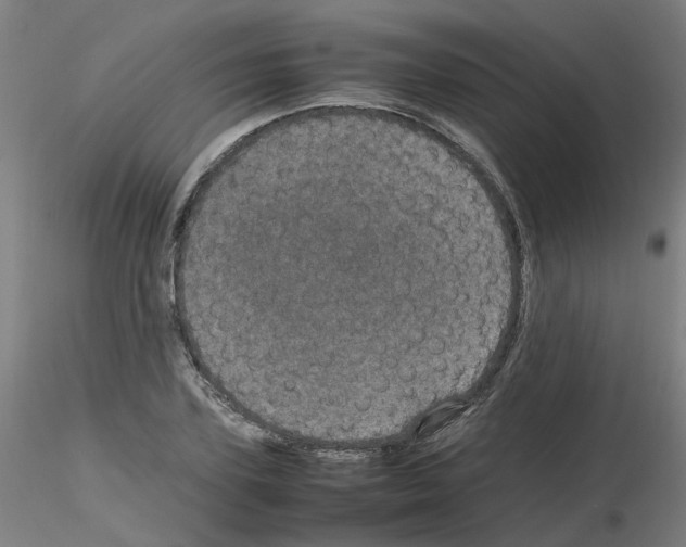 X0000116120931201001040947