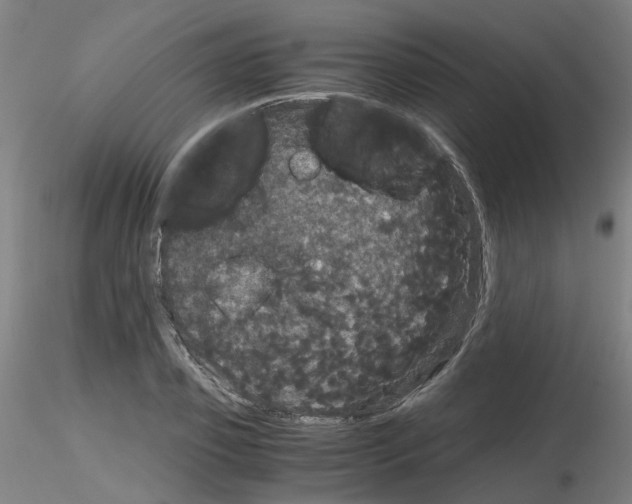 X0000116120933201001040947