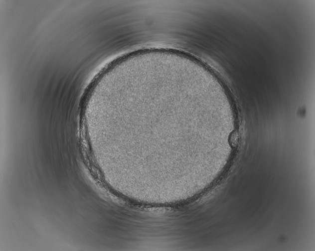 X0000116120934201001040947